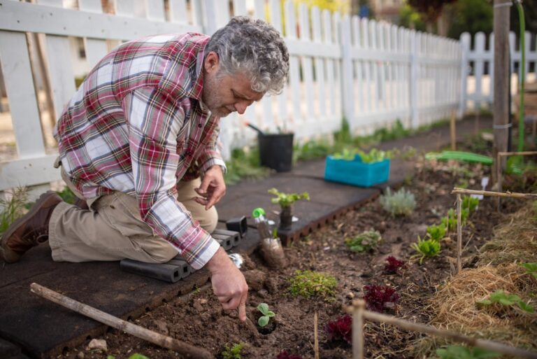 Greener Yards: Simple Steps for Eco-Friendly Landscaping