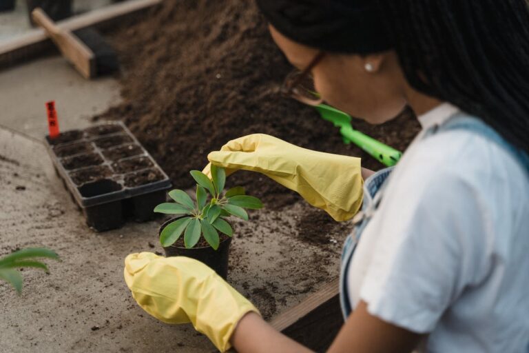 Water-Smart Gardens: Saving Every Drop Outdoors